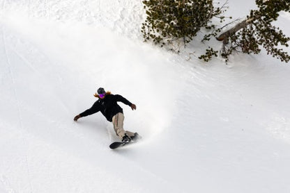 LIB TECH SKUNK APE MEN'S SNOWBOARD 2025