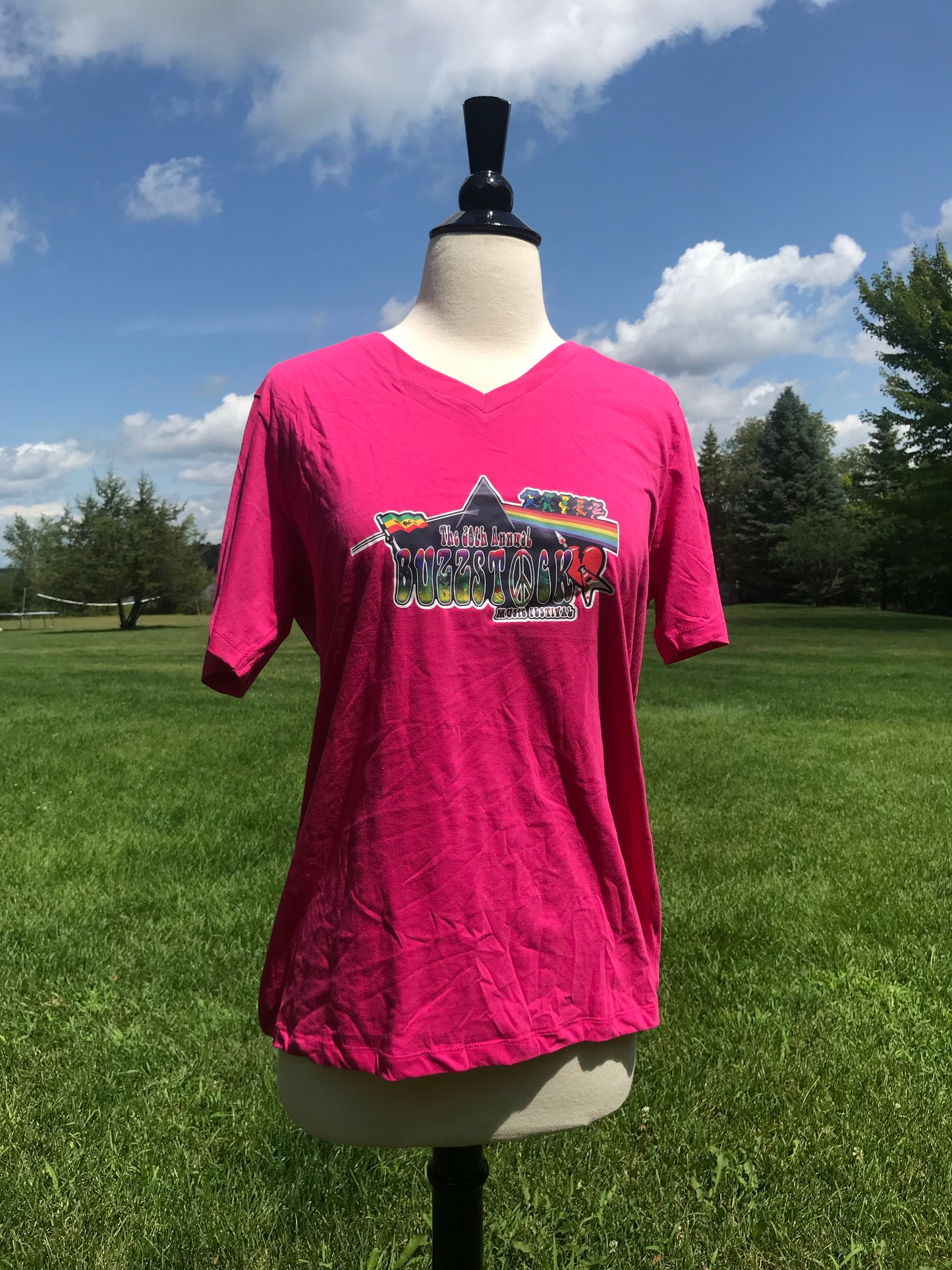 Buzzstock 20th Anniversary - Ladies V Neck